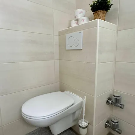 Im Zentrum Von 公寓 巴特奥塞